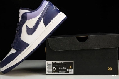 “Covered Jordan Tones” Low 1 Purple 553558-515 0731